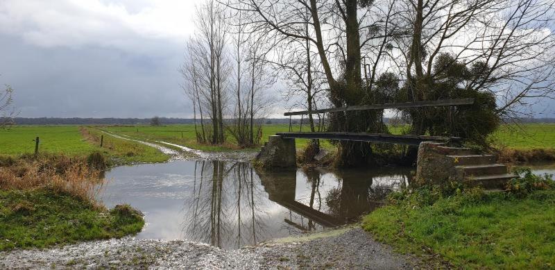 Charming Cottage Du Marais Dday Omaha Beach Canchy  Esterno foto